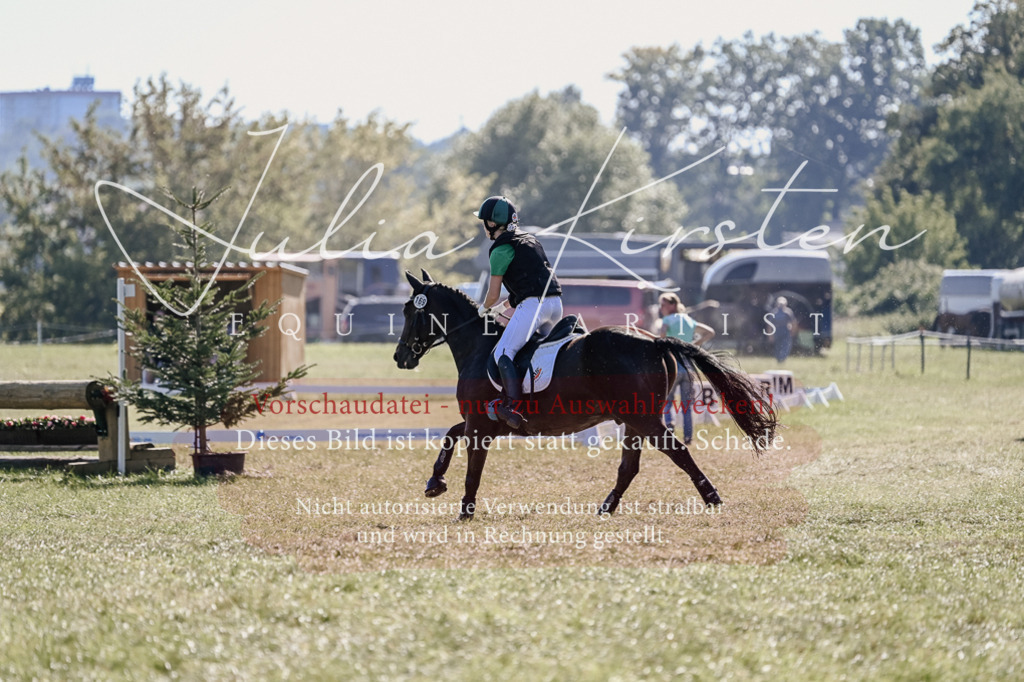 DSC_3634 | Pferde- und Turnierfotografie in Westsachsen. Pferdeportraits, Auftragszeichnungen und intuitive Kunst.