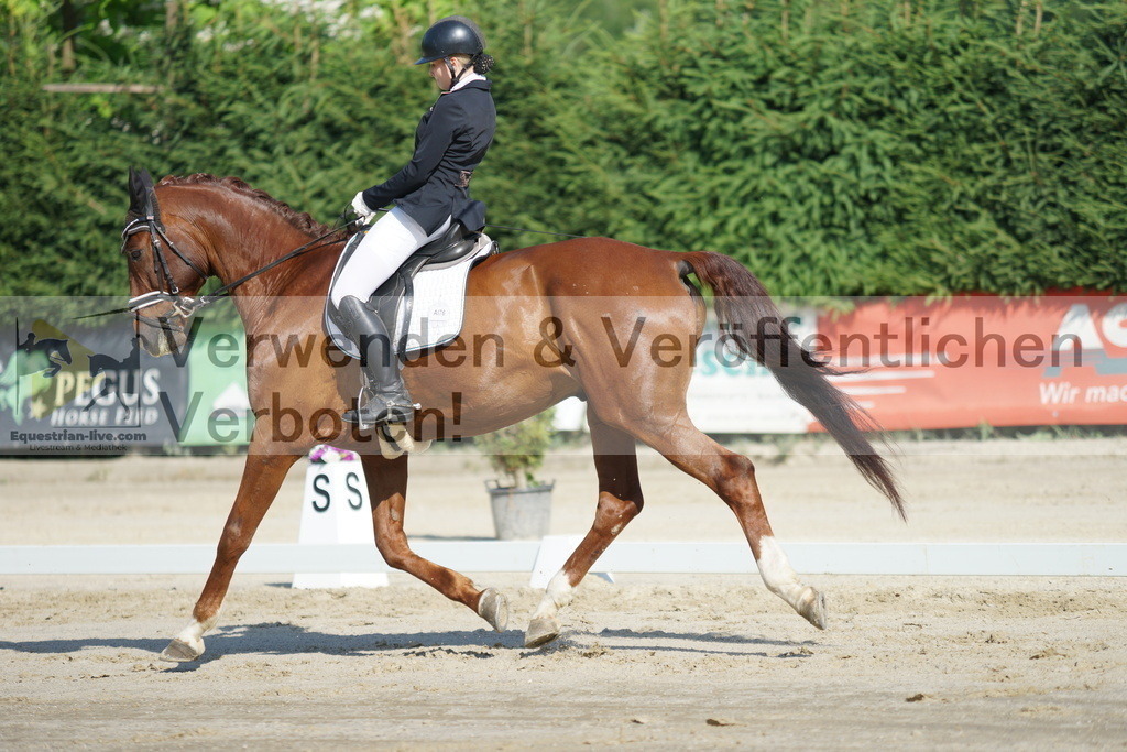 DSC04460 | equestrian-live-com