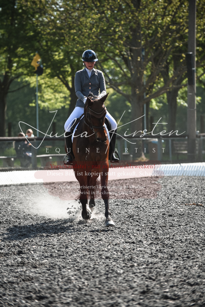 DSC_8947 | Pferde- und Turnierfotografie in Westsachsen. Pferdeportraits, Auftragszeichnungen und intuitive Kunst.