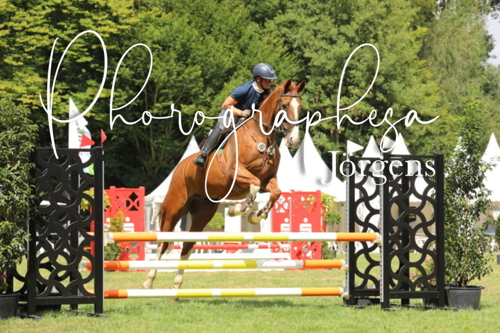 IMG_8775 | photographesa-joergens - Realisiert mit Pictrs.com