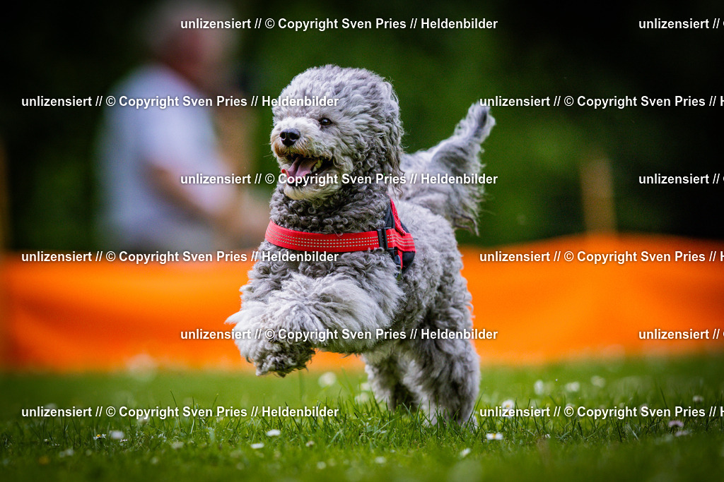 Sven Pries | 2025-05-29 - Pudelrennen KA-Durlach - Realisiert mit Pictrs.com