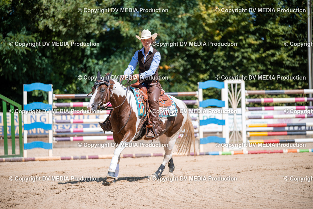 ZS1_1017 | dv-media-shop - Realisiert mit Pictrs.com