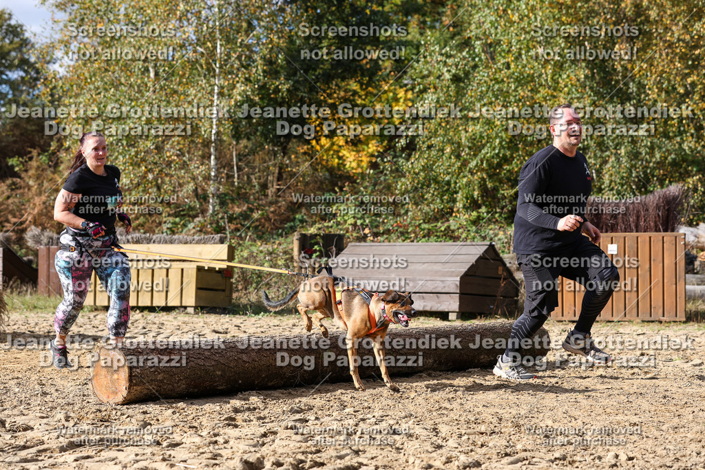 Dog Paparazzi - Strongdog 10-25-5168 | Dog Paparazzi Jeanette Grottendiek Fotografie & Videografie - Realisiert mit Pictrs.com