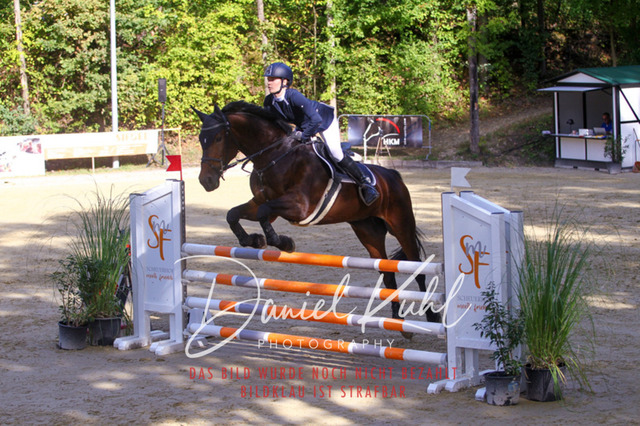 DKP42436 | Deine Turnierfotos vom Reitturnier online kaufen: Dressur, Springen & Siegerehrung. Professionelle Pferdefotografie aus dem Rheinland – als Download & Print.Alternative: Turnierfotograf für den Pferdesport: Finde deine Fotos von Dressur- und Springturnier