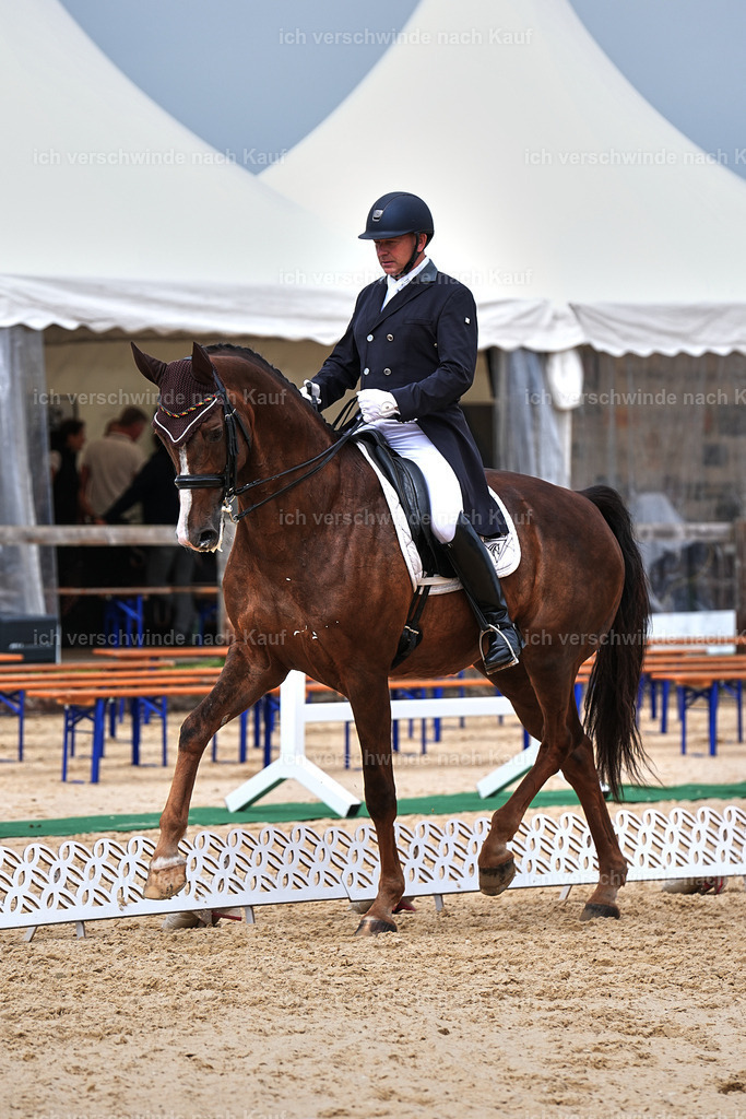 11-092-Dressur S___-Marixx-1566 | working equitationturnier fotograf videograf stoibphotography marixx film working equitation deutschland reitsport turnierfotografie eventfotografie equestrian events