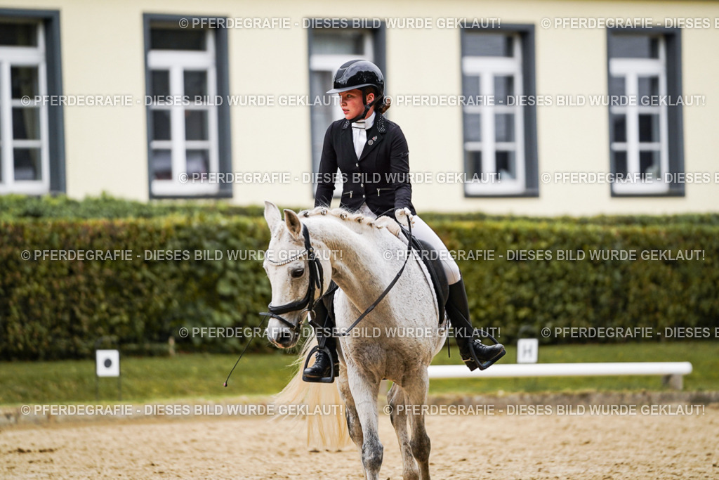 DSC07839 | Pferdegrafie