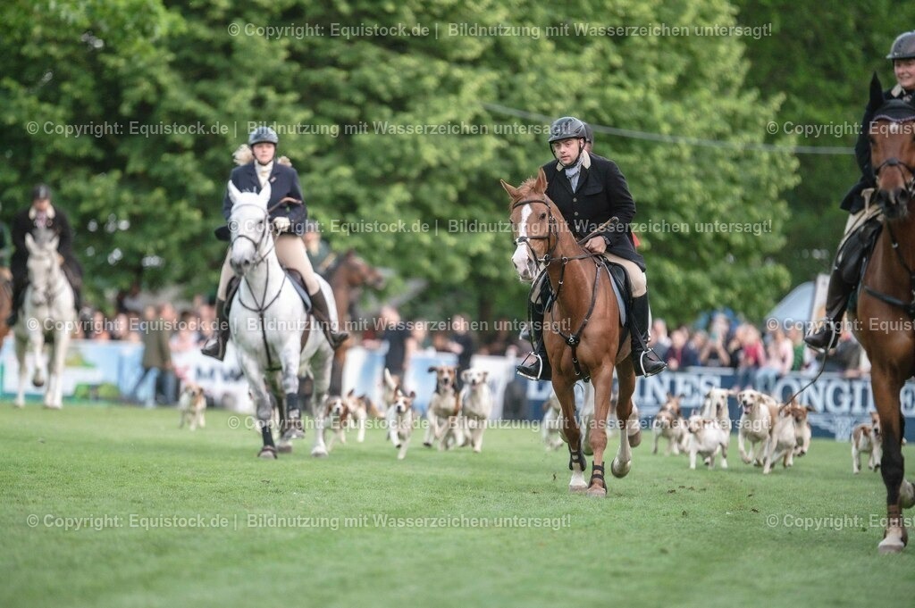 20230526_Pferdenacht_0523 | equistock