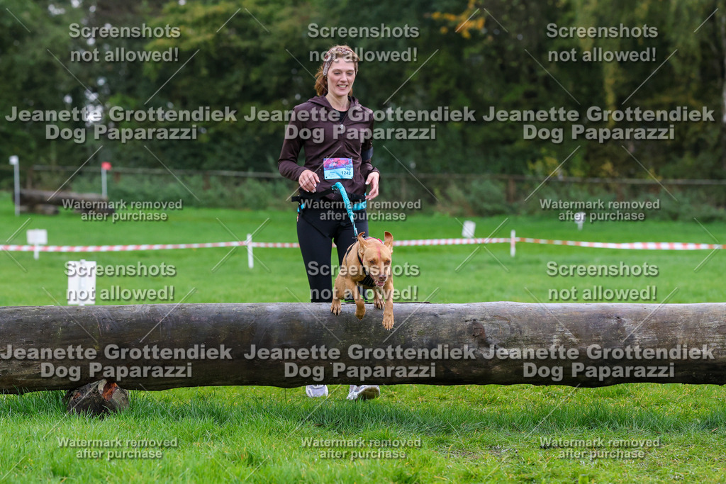 Dog Paparazzi -  SD1026-1968 | Dog Paparazzi Jeanette Grottendiek Fotografie & Videografie - Realisiert mit Pictrs.com
