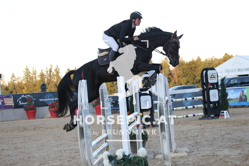 DL2Q4832 | Willkommen bei Brunnmayr - Design & Fotografie – Ihrem Spezialisten für Reitturniere und Pferdeveranstaltungen in Oberösterreich, Salzburg und Bayern! Seit über 17 Jahren sind wir leidenschaftlich dabei.