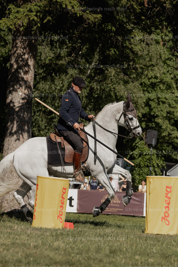 WE_MOS_Stoib_327_PI2025_2311 | Pferd International München 2025