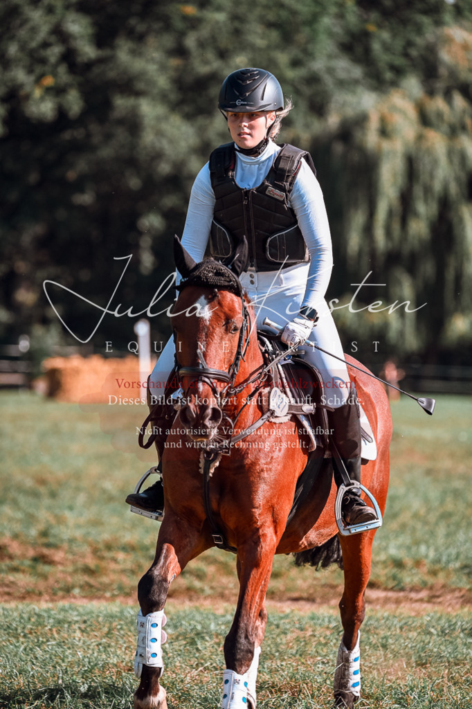 DSC_0631 | Pferde- und Turnierfotografie in Westsachsen. Pferdeportraits, Auftragszeichnungen und intuitive Kunst.