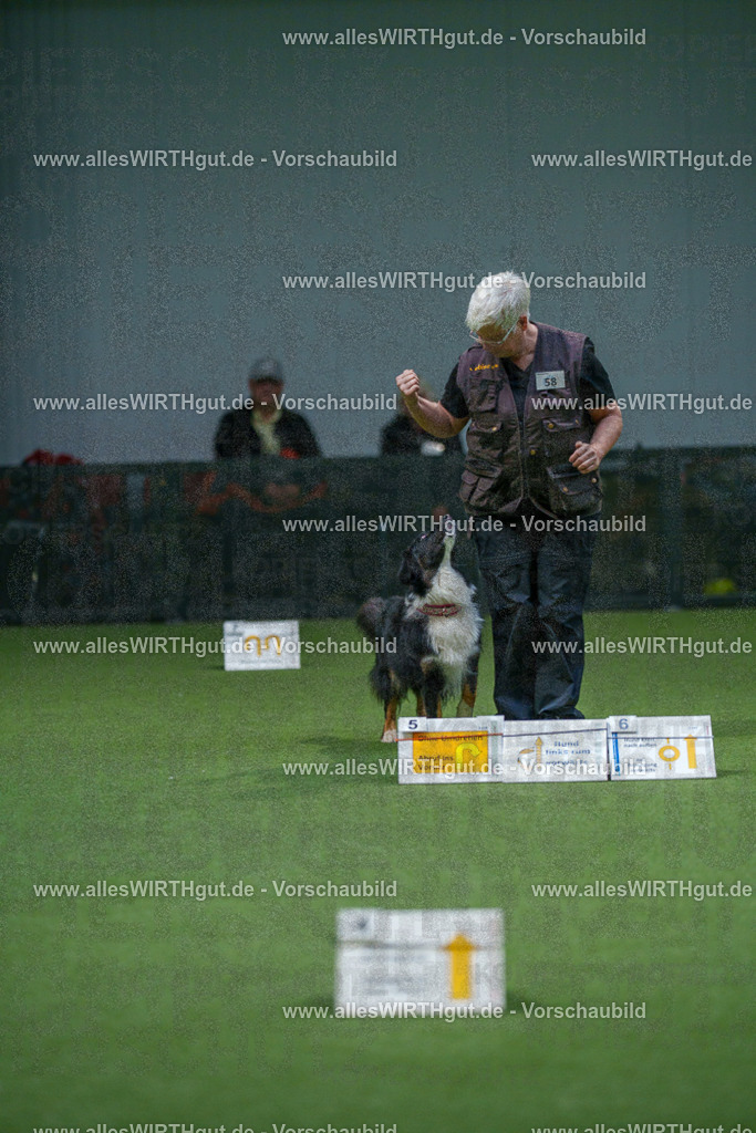 7R507089 | Professionelle Tierfotografie in Mönchengladbach von Daniel Wirth (allesWIRTHgut). Liebevolle & natürliche Bilder von Hunden & Katzen für unvergessliche Erinnerungen.