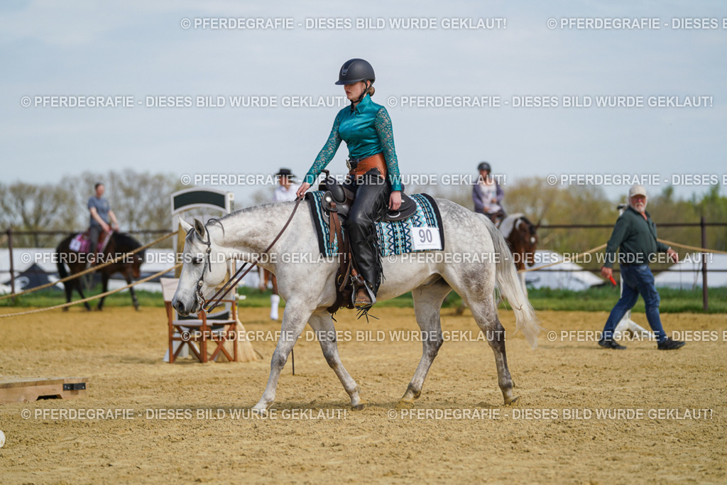 DSC04667 | Pferdegrafie