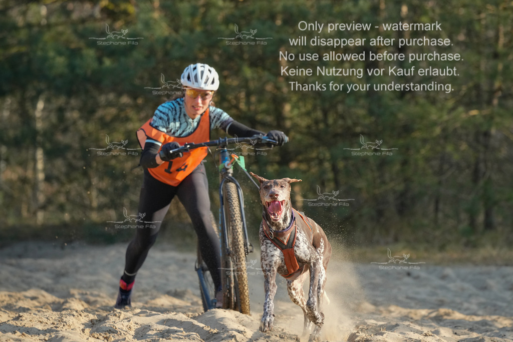 So_Scooter-77 | stephaniefillaphotographie - Realisiert mit Pictrs.com