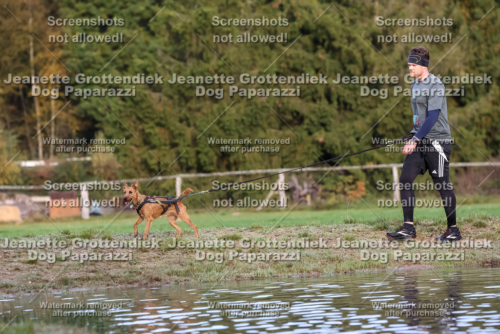 Dog Paparazzi - Strongdog 10-25-7031 | Dog Paparazzi Jeanette Grottendiek Fotografie & Videografie - Realisiert mit Pictrs.com