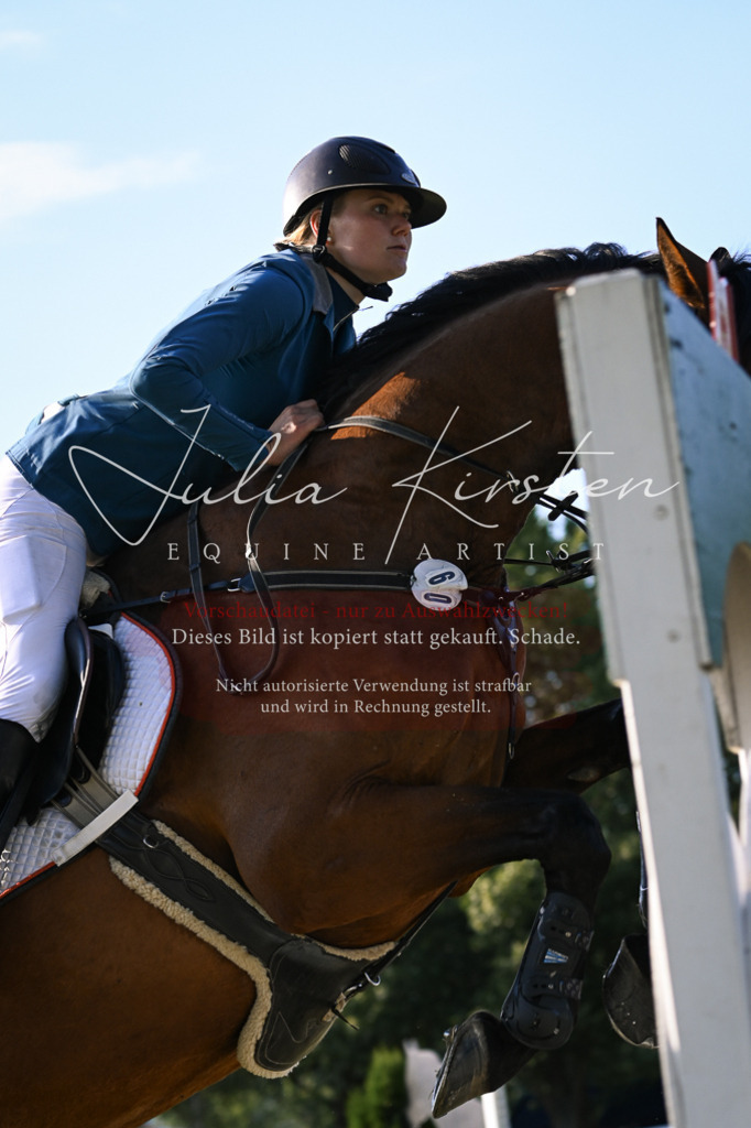 DSC_1790 | Pferde- und Turnierfotografie in Westsachsen. Pferdeportraits, Auftragszeichnungen und intuitive Kunst.