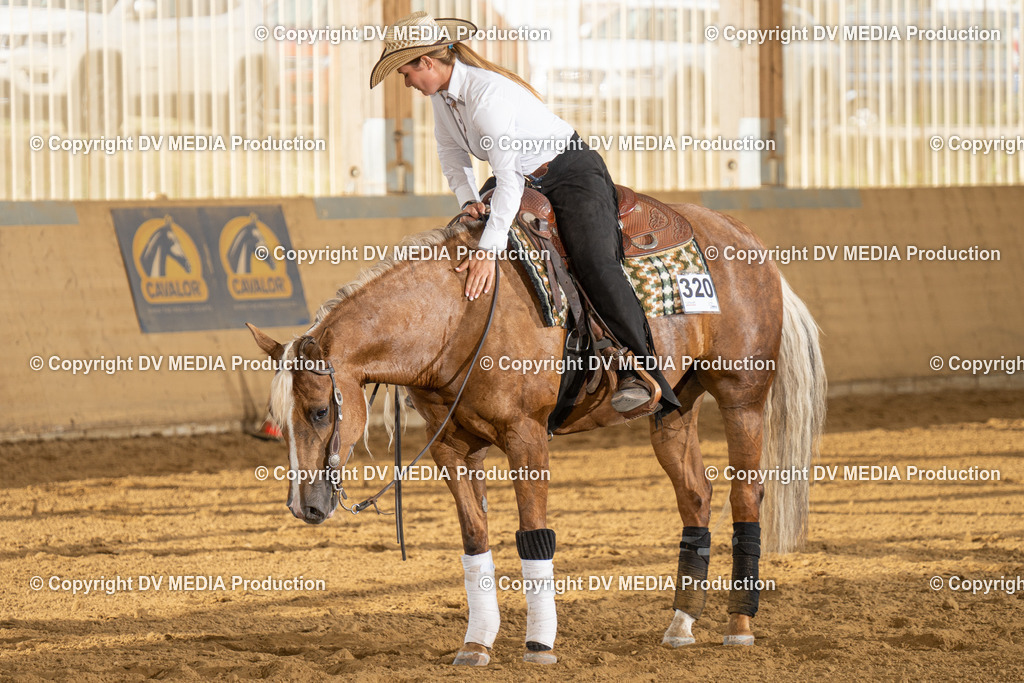 LAU01857 | dv-media-shop - Realisiert mit Pictrs.com