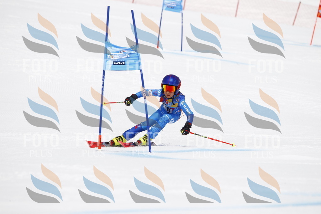 _U3G6714 | holidayphoto