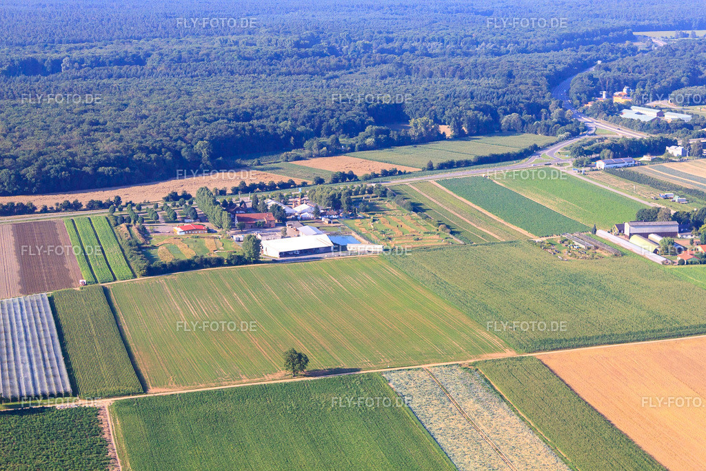 Fussballgolfpark Südpfalz auf dem Adamshof Kandel http://www.fussballgolfpark-suedpfalz.de/ http://www.kandel-adamshof.de/ | Luftbild: Fussballgolfpark Südpfalz auf dem Adamshof Kandel http://www.fussballgolfpark-suedpfalz.de/ http://www.kandel-adamshof.de/ in Kandel im Bundesland Rheinland-Pfalz in Deutschland. Foto: IMG_70303.jpg vom 19.07.2014 durch Werner Riehm/FLY-FOTO.de - Realisiert mit Pictrs.com