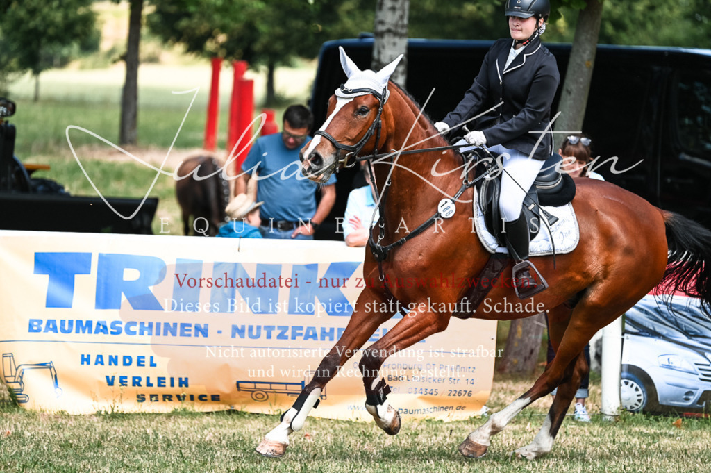 DSC_9845 | Pferde- und Turnierfotografie in Westsachsen. Pferdeportraits, Auftragszeichnungen und intuitive Kunst.
