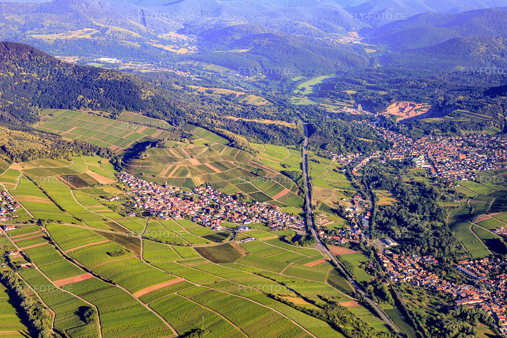 Luftbild: Winzerdorf am Rand des Pfälzerwalds aus Osten in Birkweiler im Bundesland Rheinland-Pfalz in Deutschland. Foto: IMG_007805.jpg vom 21.06.2020 durch Werner Riehm/FLY-FOTO.de