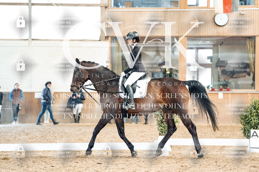 CK909933 | Turnierfotografie Pferdefotografie Trier Rheinland-Pfalz Pferdesport Reitsport Tierfotografie Sportfotografie Pferdevideo Pferdevideografie Equestrianvideography equestrianphotography  - Realized with Pictrs.com