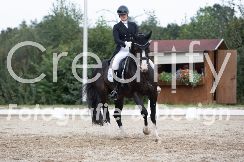 IMG_5262 | Creatify Fotografie