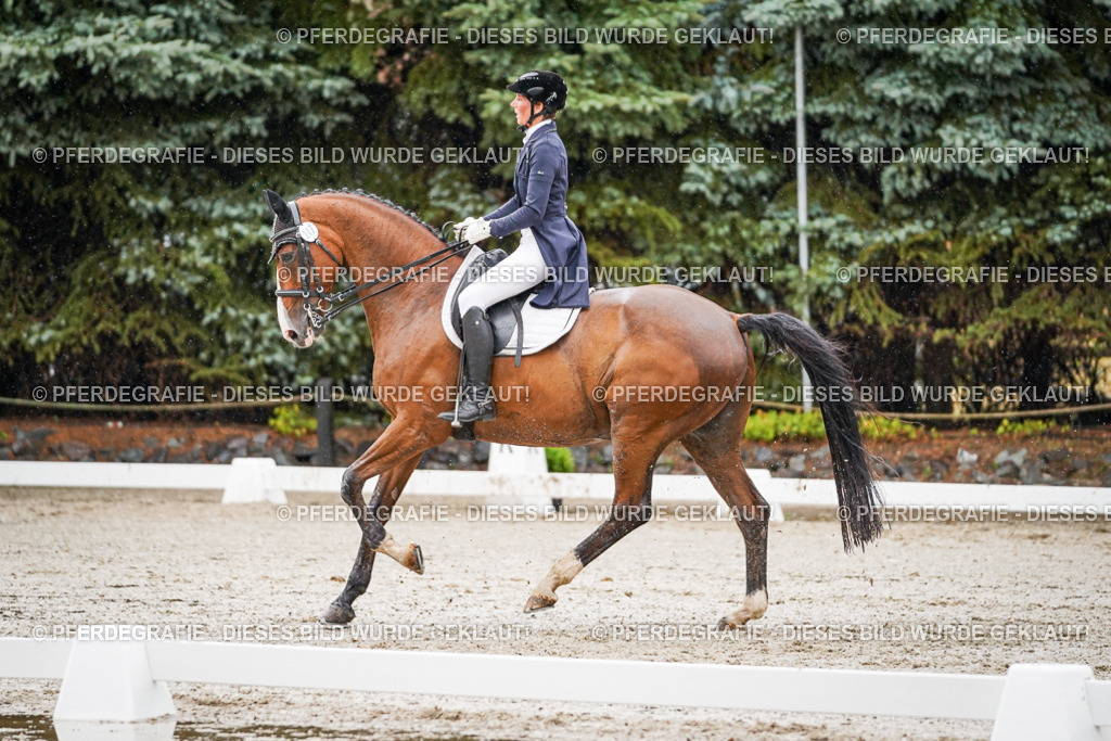 DSC08660 | Pferdegrafie