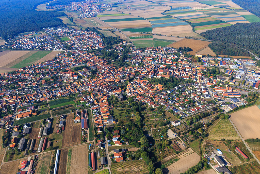 Luftbild: Ortsansicht von Osten in Rheinzabern im Bundesland Rheinland-Pfalz in Deutschland. Foto: IMG_094884.jpg vom 24.09.2016 durch Werner Riehm/FLY-FOTO.de