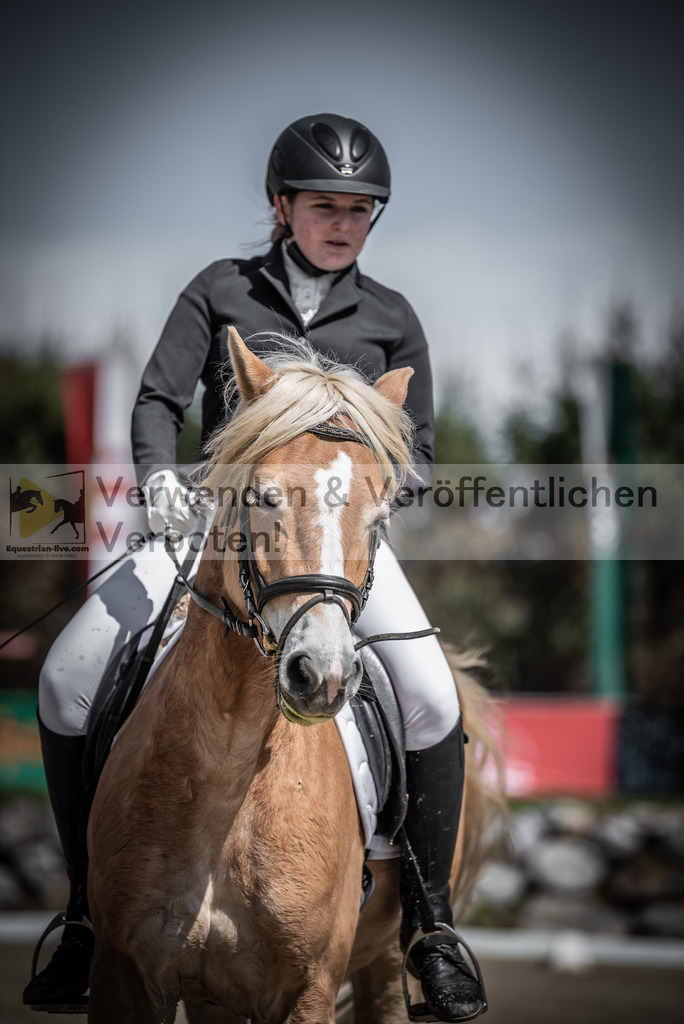 DSC_0723 | equestrian-live-com