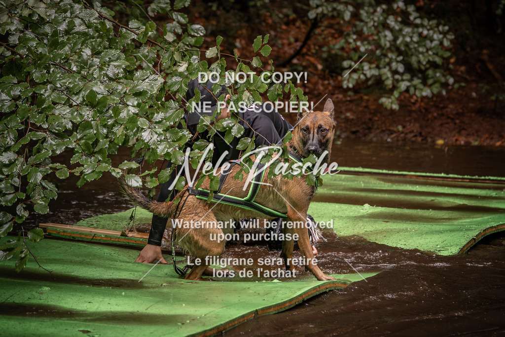 nelerasche_Wingst_Sa1330-1400_78 | nelerasche