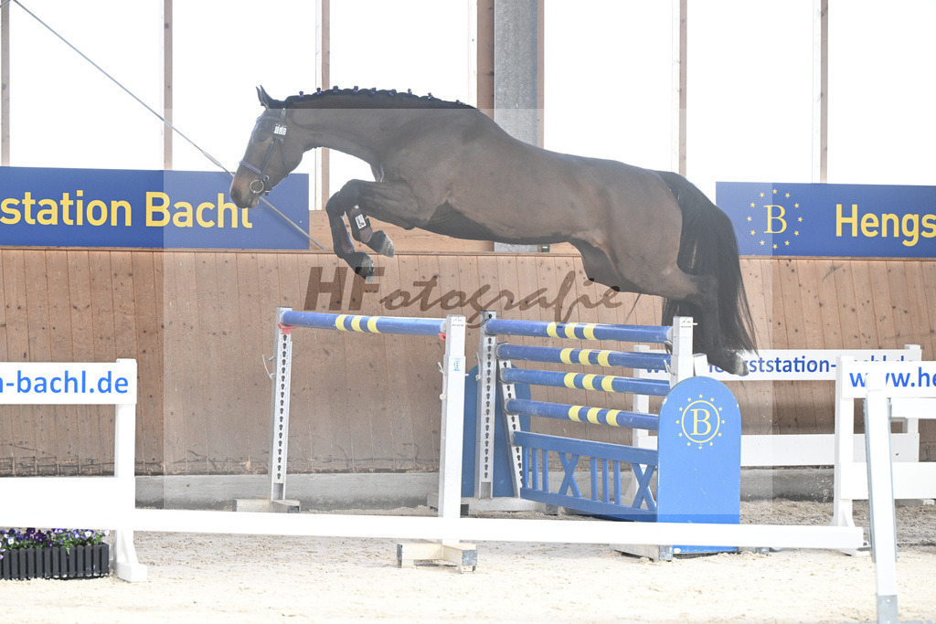 Kat-Nr. 40 Emma von Imhoff v. Cornet Obolensky_Imhoff_5251765 | hf-fotografie - Realizzato con Pictrs.com