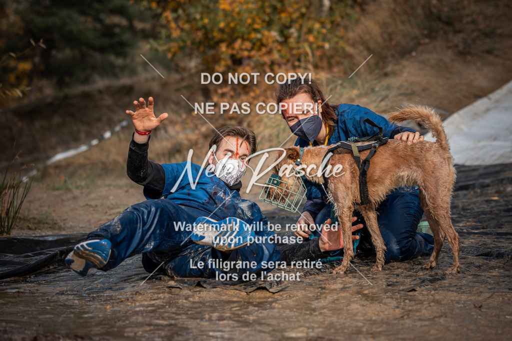 nelerasche_Creepy2025_So1200-Ende_467 | nelerasche