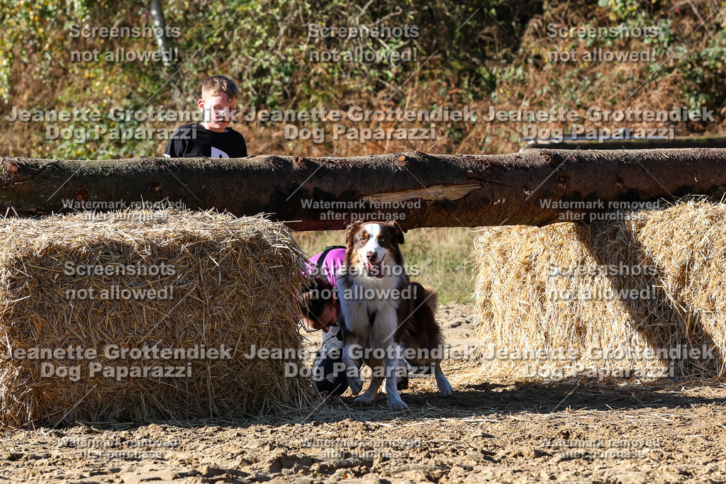 Dog Paparazzi - Strongdog 10-25-2440 | Dog Paparazzi Jeanette Grottendiek Fotografie & Videografie - Realisiert mit Pictrs.com