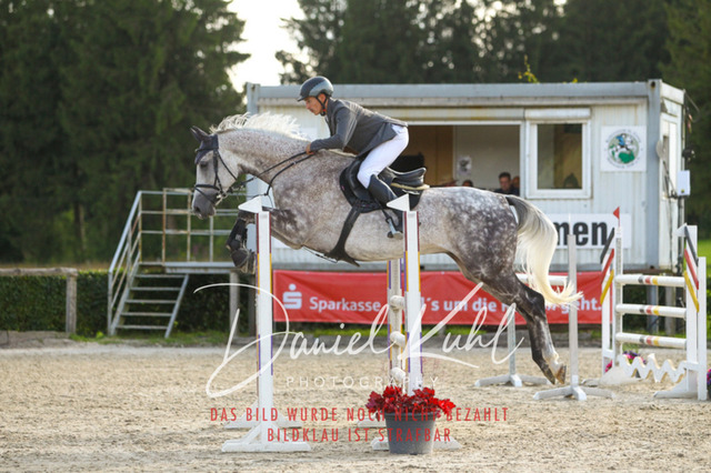 DKP43919 | Turniersportfotografie; Pferdefotografie; Dressurfotografie