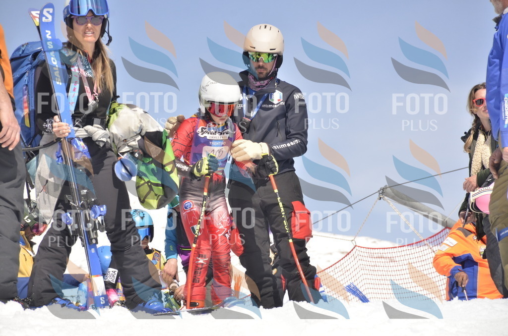 _ELE9409 | holidayphoto