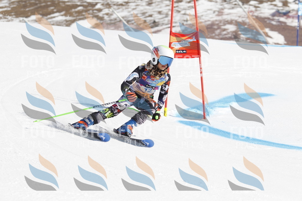 _U3G8694 | holidayphoto