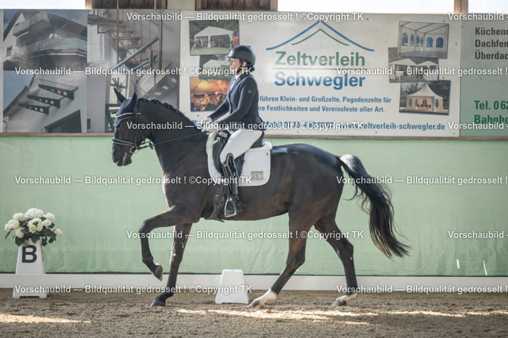 _D5A0549 | Emotionale Pferde- & People-Fotografie rund um Heidelberg, Leimen & Umgebung. Natürliche Fotos von Pferd, Mensch & Familie. Jetzt Termin sichern!