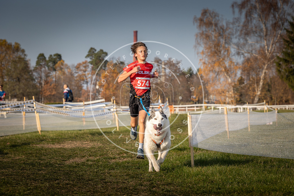 CaniXpix_0L8A9560 | Hundefotografie, Tierfotograf, Pfotenfotografie, Fotoshooting Hund, Hunde Portrait, Hundesport, Hundeportraits, Heideshooting, Hunde, Sportfotograf, Hundefotograf, Turnierhundsport, THS,  - Realisiert mit Pictrs.com