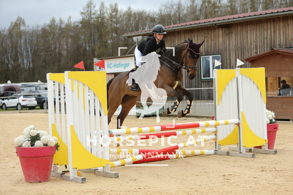 DL2Q1596 | Willkommen bei Brunnmayr - Design & Fotografie – Ihrem Spezialisten für Reitturniere und Pferdeveranstaltungen in Oberösterreich, Salzburg und Bayern! Seit über 17 Jahren sind wir leidenschaftlich dabei.