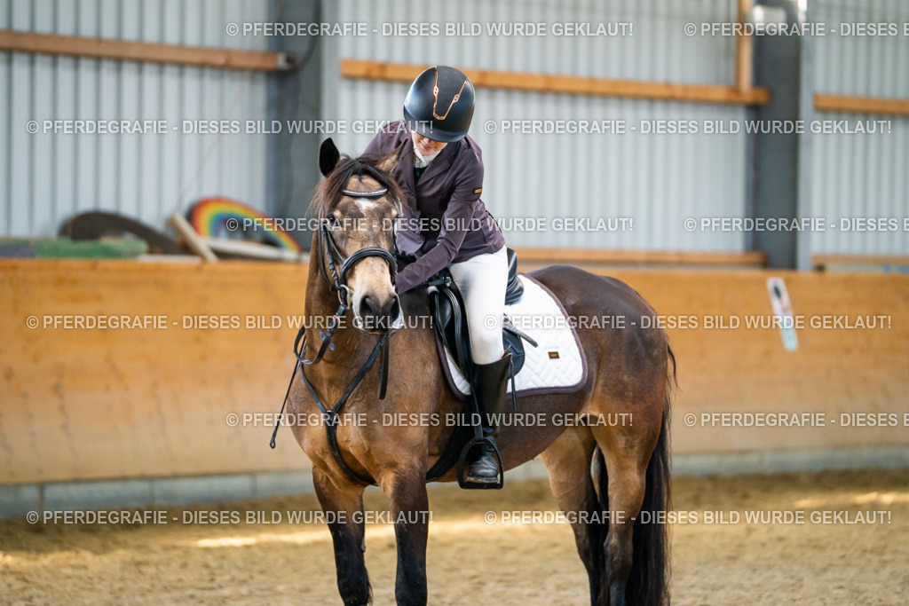 DSC01209 | Pferdegrafie