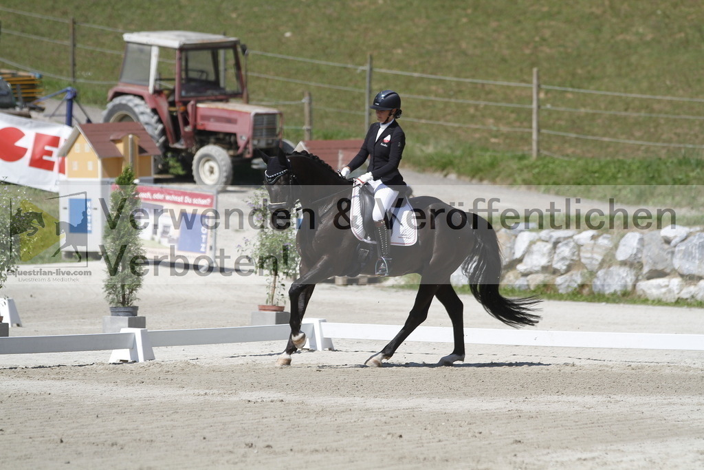 _MG_0345 | equestrian-live-com