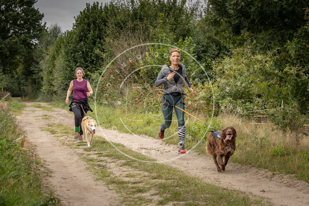 Pfotenfotografie_DV3A6546 | Hundefotografie, Tierfotograf, Pfotenfotografie, Fotoshooting Hund, Hunde Portrait, Hundesport, Hundeportraits, Heideshooting, Hunde, Sportfotograf, Hundefotograf, Turnierhundsport, THS,  - Realisiert mit Pictrs.com