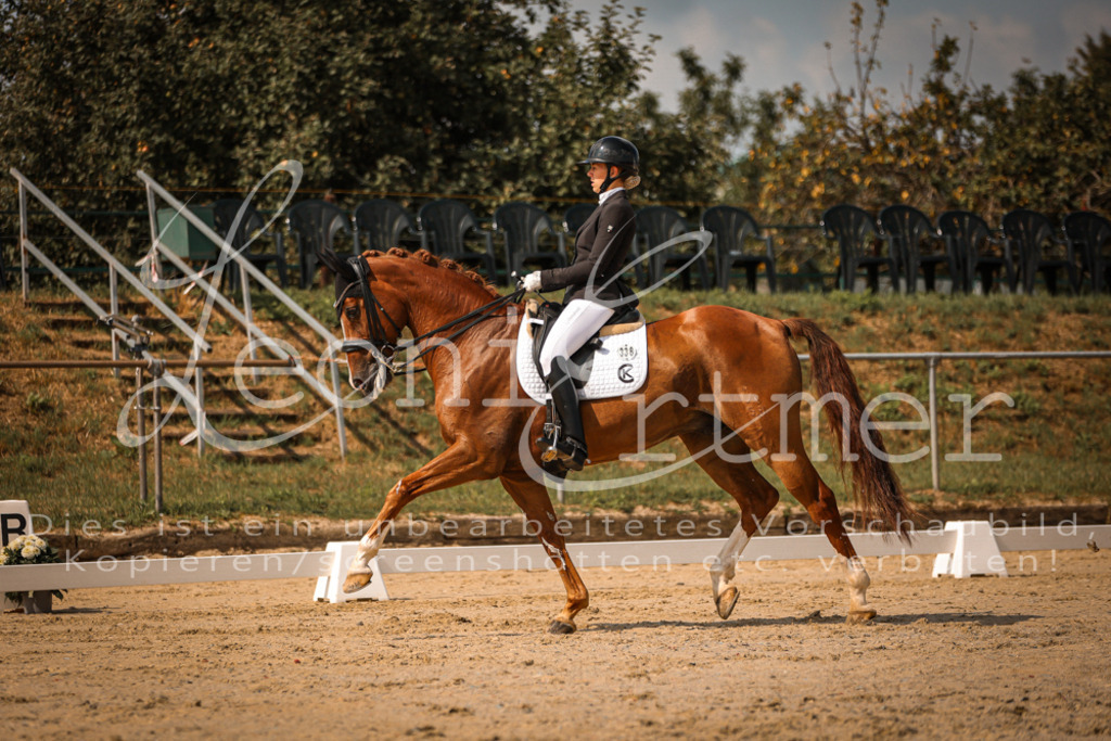 18.FrDrM00224 | Leoni Ertmer Photography - Realisiert mit Pictrs.com