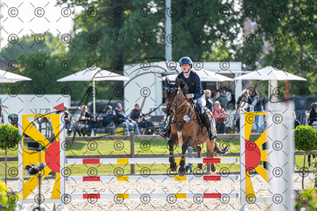 KPT_4470 | andre_photographic