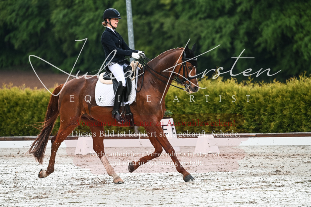 DSC_4234 | Pferde- und Turnierfotografie in Westsachsen. Pferdeportraits, Auftragszeichnungen und intuitive Kunst.