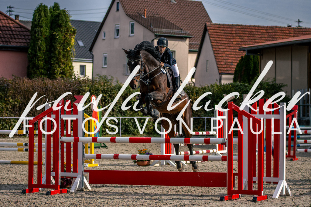 IMG_5782 | Erleben Sie dynamische Sport- und emotionale Tierfotografie in Süddeutschland mit Fotos von Paula. Spezialisiert auf Pferde- und Hundefotografie sowie Sportevents. Kontaktieren Sie mich für einzigartige und ausdrucksstarke Bilder Ihrer besonderen Momente. - Realisiert mit Pictrs.com