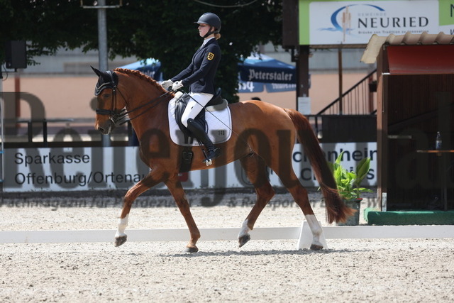 Ichenheim_2023_Prfg.Nr.06_Finale SBM Junge Reiter_Teresa Hoffmeister_Don Clorentino des Paluds (3) | Alle Fotos der Reiterjournal Fotografin Doris Matthaes im Reiterjournal Online-Fotoshop. - Realisiert mit Pictrs.com
