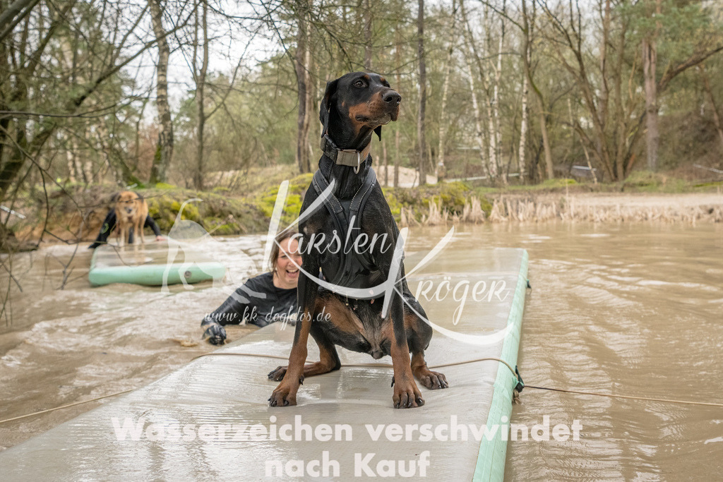 1331_ZZ90839-Bearbeitet | kk-dogfotos