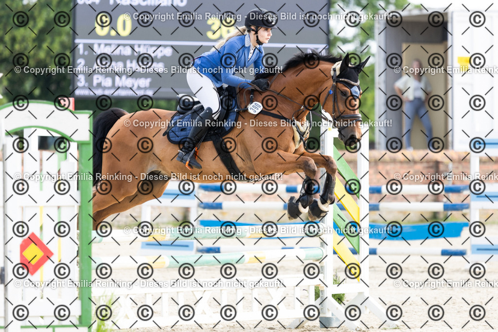 CL5A6078 | Emilia Reinking Fotografie - Realisiert mit Pictrs.com